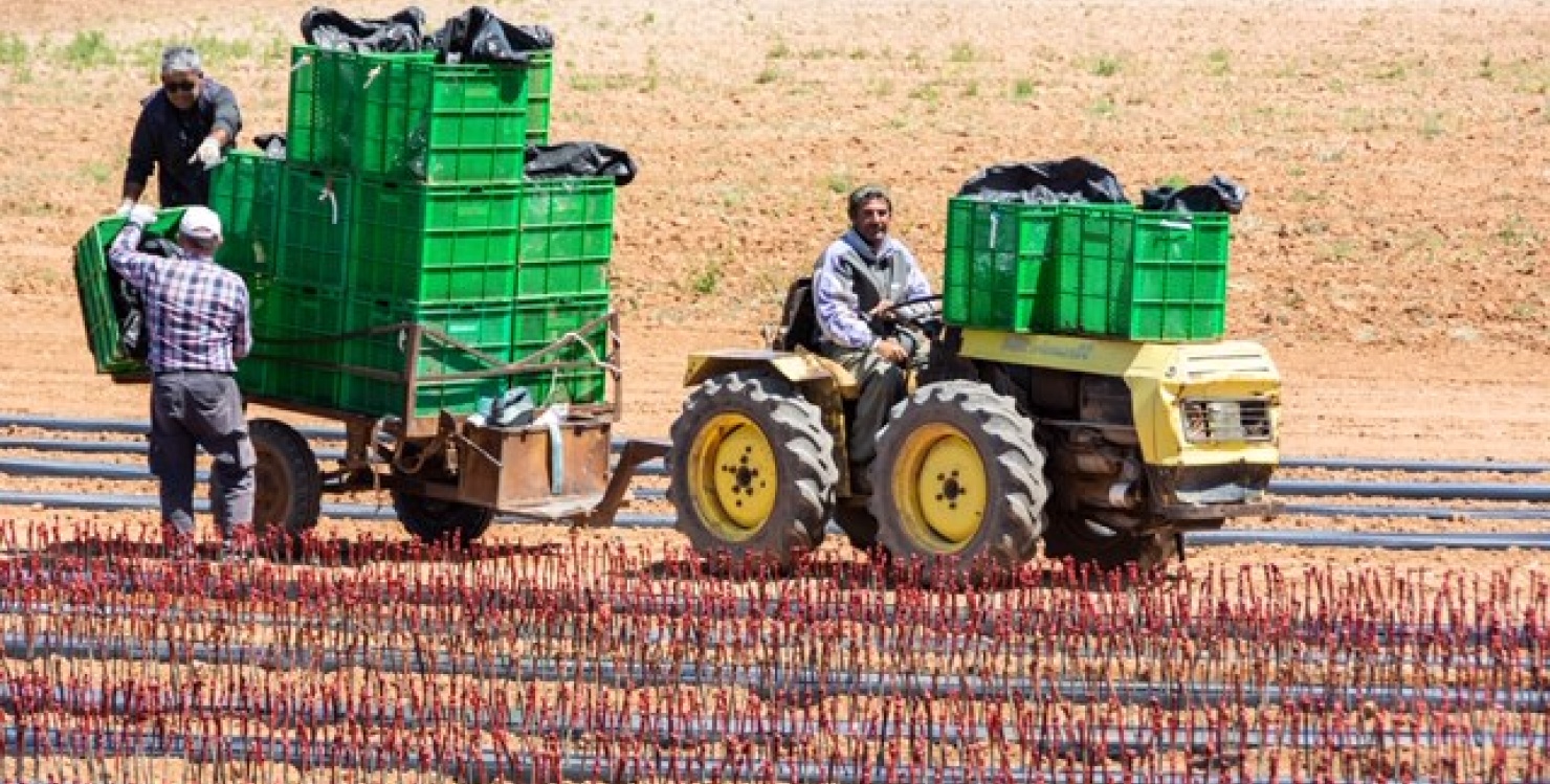 Bodegas Angosto, Espagne