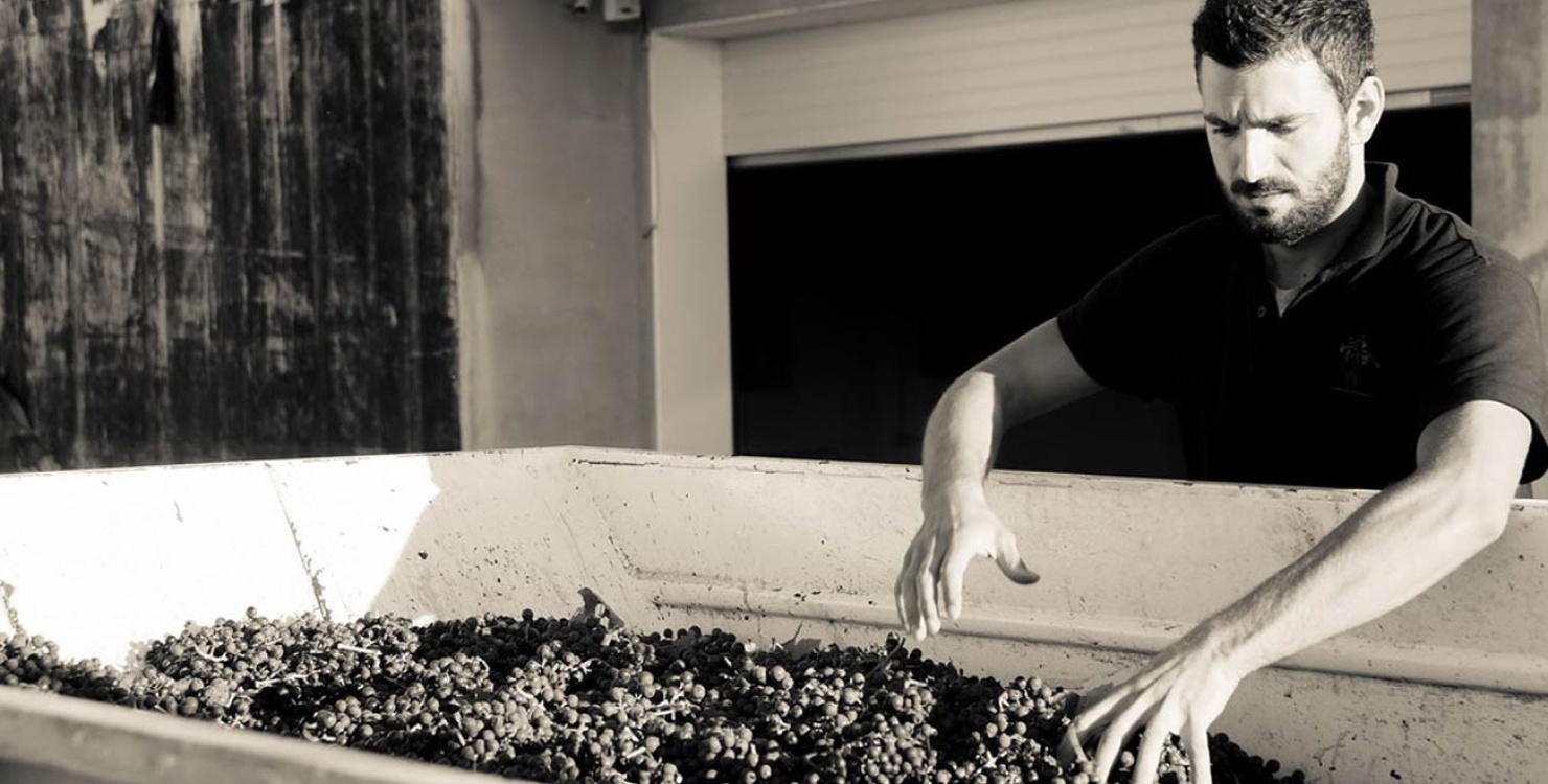 Tenuta Santori, Italie