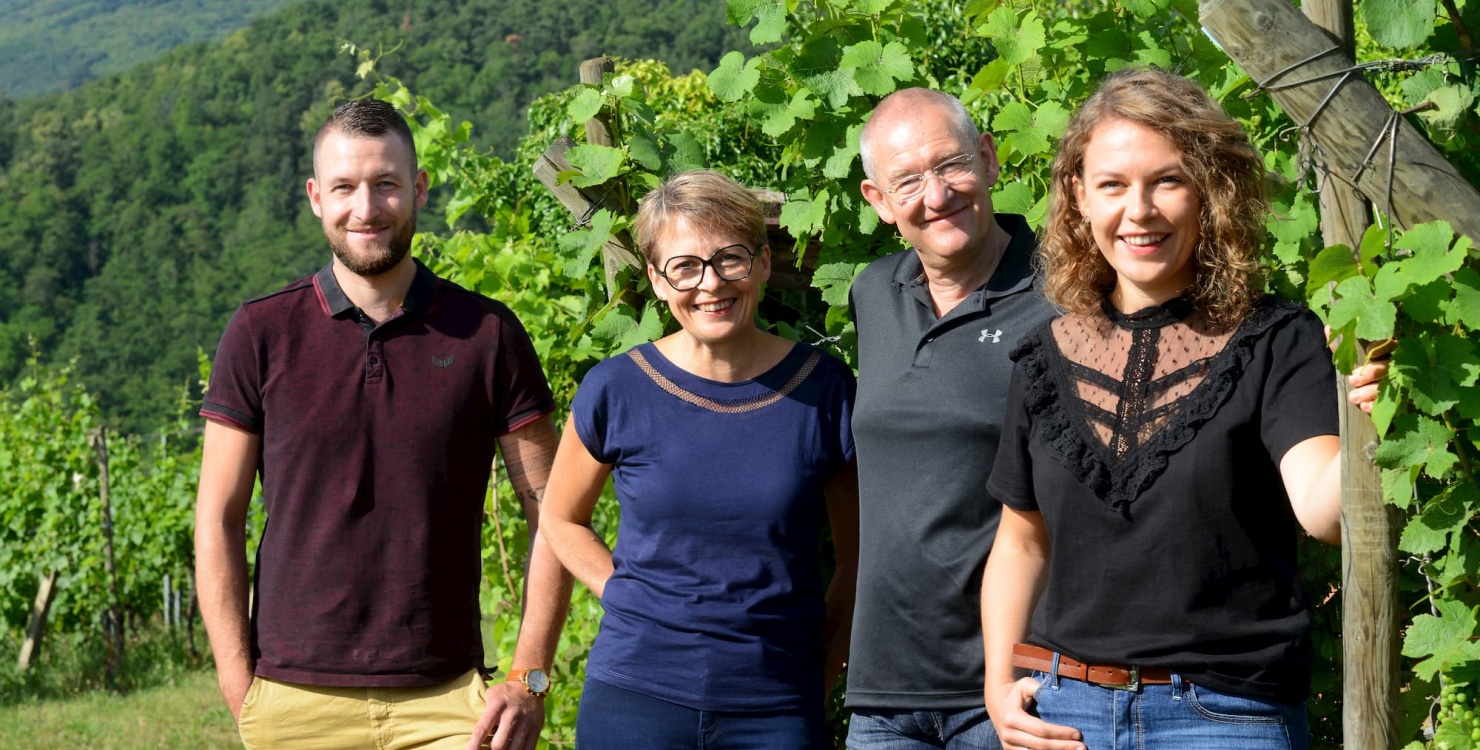 Domaine Saint-Rémy, France