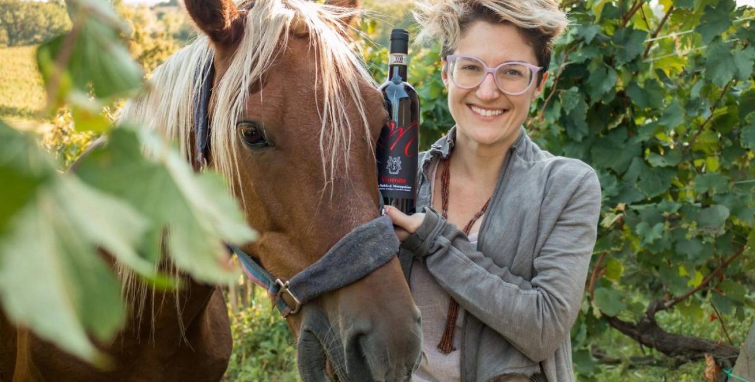 Palazzo Bandino, Italie