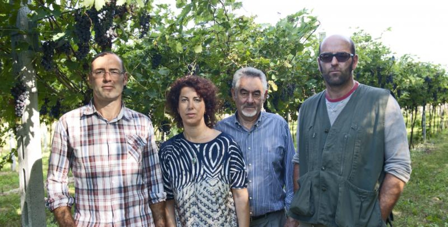 Corte Aleardi, Italie