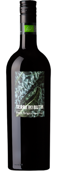 Pinot Grigio