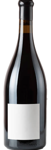 Le Vol des Etourneaux 