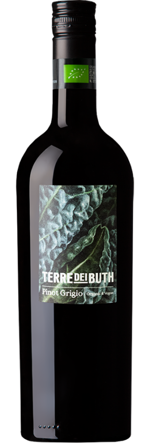 Bottle of Pinot Grigio