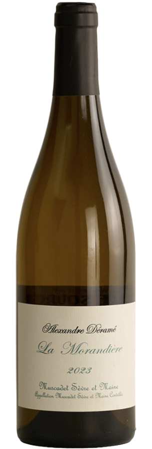 Bottle of Muscadet Sèvre-et-Maine