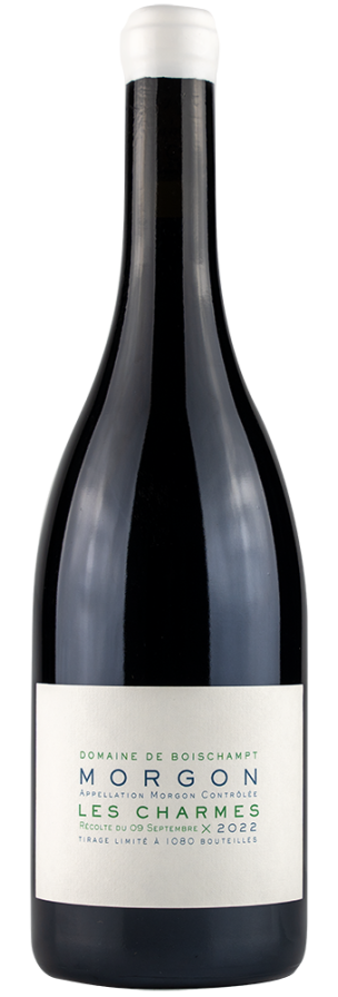 Bottle of Morgon "Les Charmes"