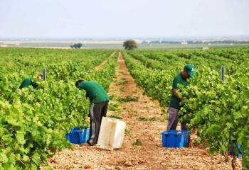 Bodegas Celaya, Espagne, Castille-La Mancha