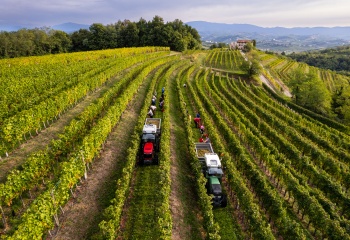 Isidoro Polencic, Italie, Frioul-Vénétie Julienne