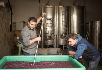 Weingut Karl May, Allemagne, Rheinessen