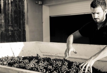 Tenuta Santori, Italie