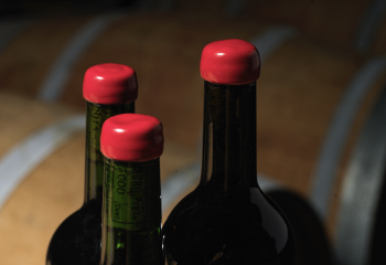 Régis & Sébastien Moro, France