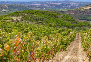 Castillo de Mendoza, Espagne, Rioja