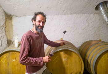 La Vigne des Pères, France