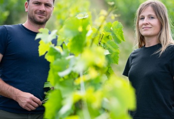 Domaine de Boischampt, France